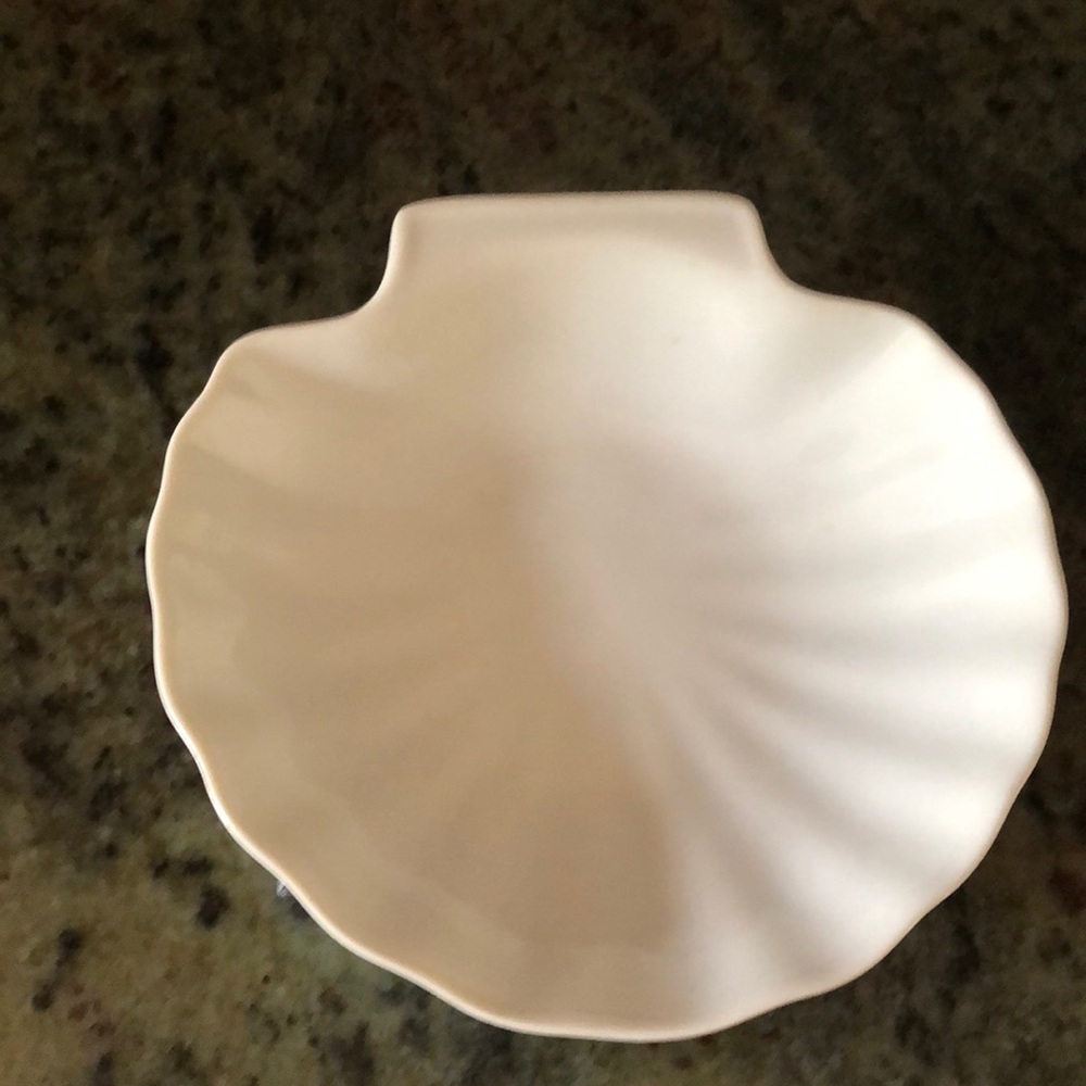 Shell shape dish